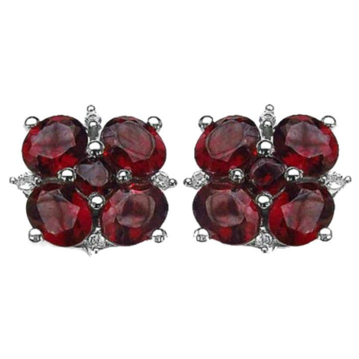 Silver Garnet Earring
